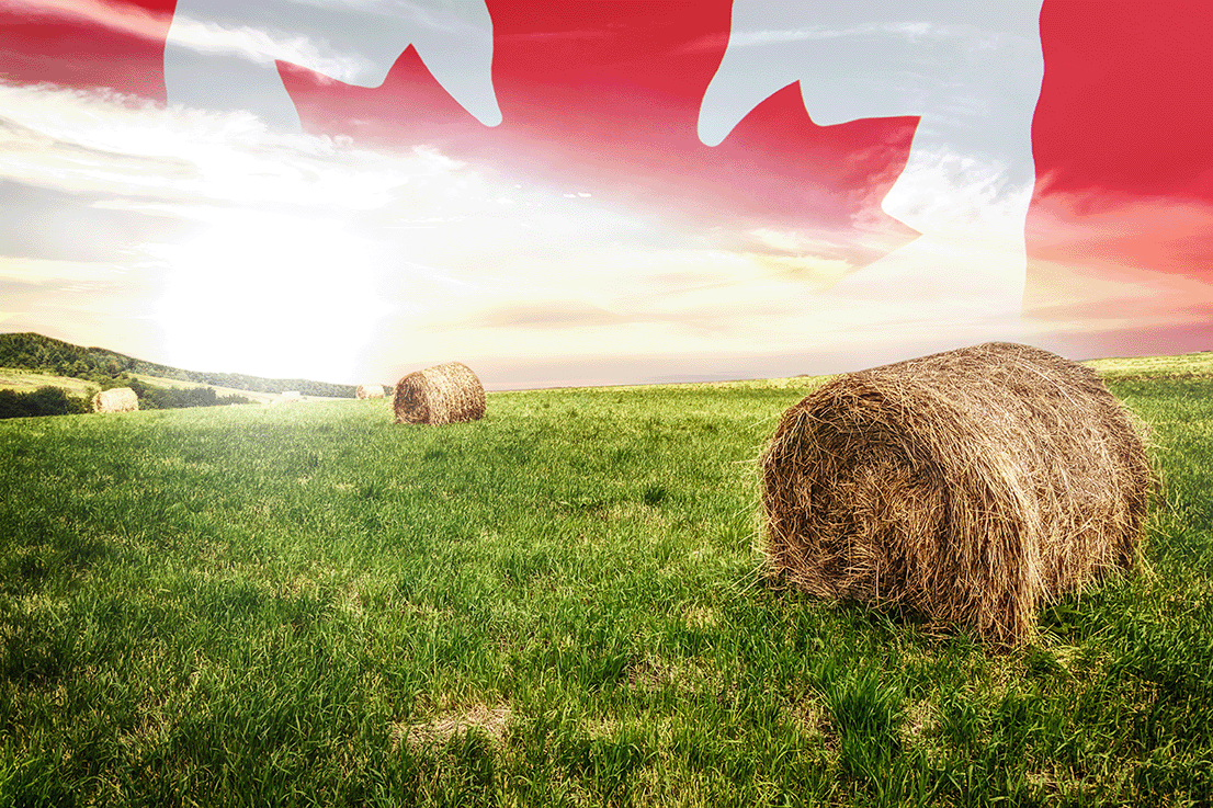 Farmers Must Keep Workers Safe Canada Safety Council