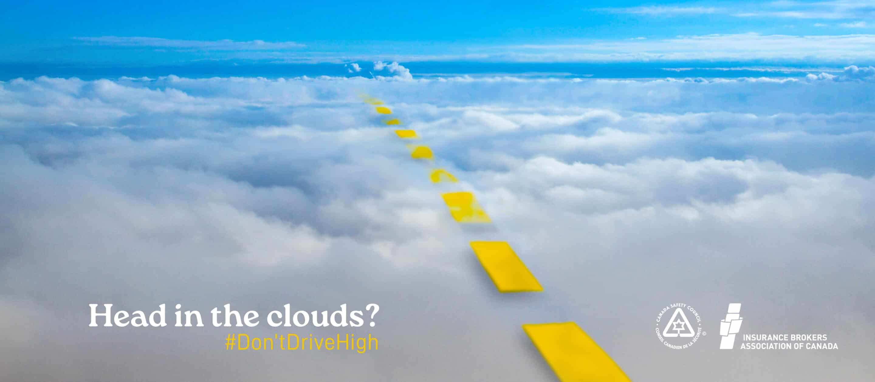Head In The Clouds Bag Policy